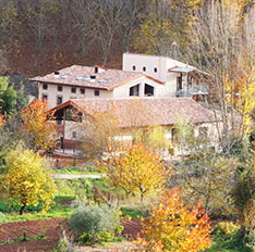 fabrica-de-harinas-la-gloria