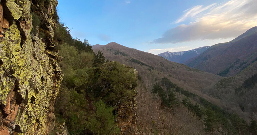 valle-cardenas